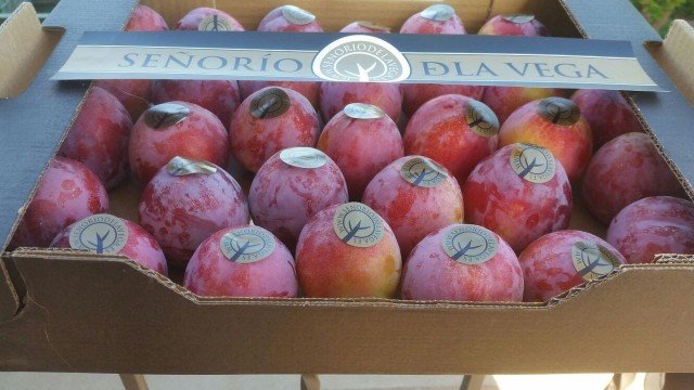 Продаем сливу от производителей