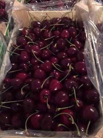 Продаем черешню от производителей