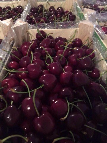 Продаем черешню от производителей