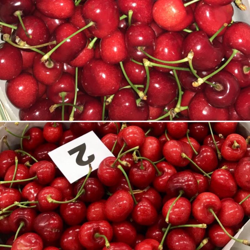 Продаем черешню от производителей
