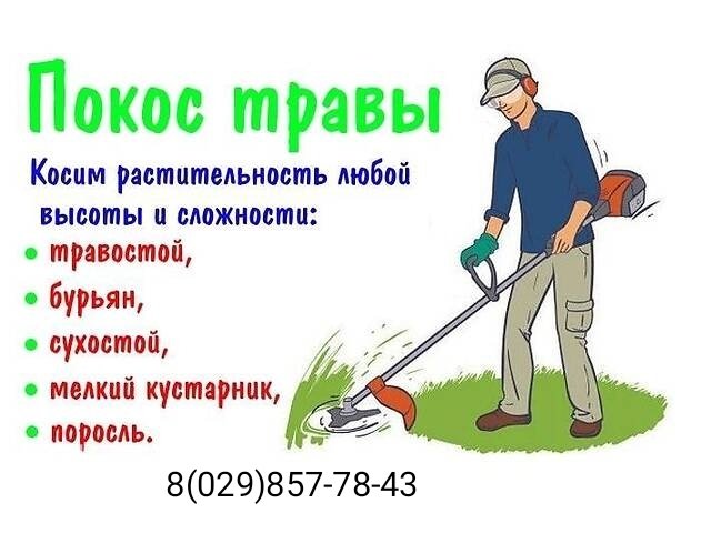 Покос травы и газона