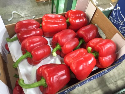 Продаем перец от производителей