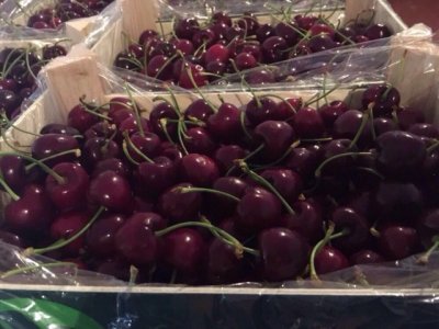 Продаем черешню от производителей