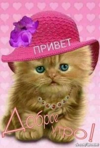 Дрова