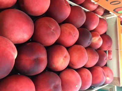 Продаем персик от производителей