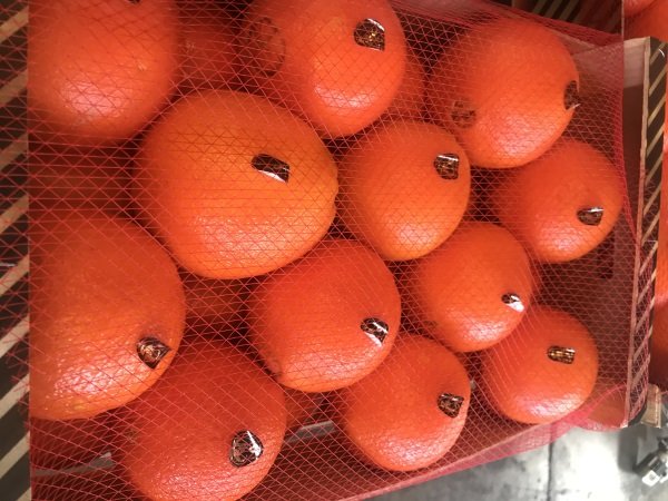 Продаем апельсины от производителей
