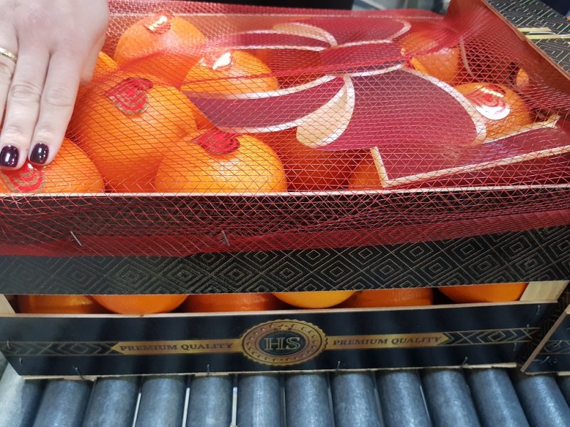Продаем апельсины от производителей