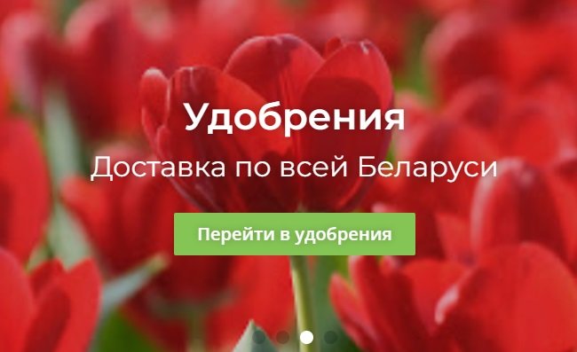 Всё для дачного участка с поставками по Белоруссии