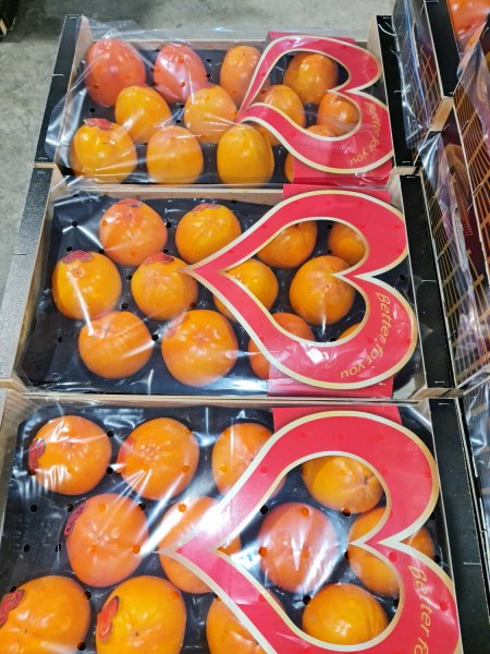 Продаем хурму от производителей