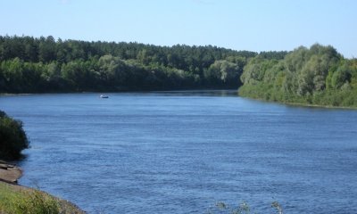 Продам дом на берегу реки Сож Гомельской обл.РБ