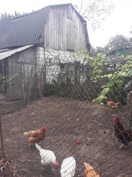 Жилой Дом
