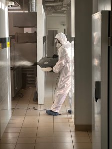 Уничтожение насекомых. Дезинфекция